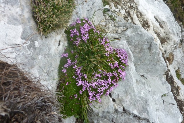 P1080455.jpg