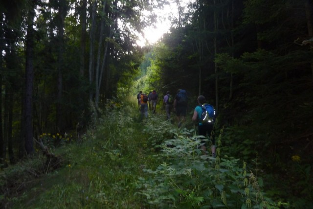 Jetzt wissen wir's: durch den tiefen Wald auf sanften Pfaden,...