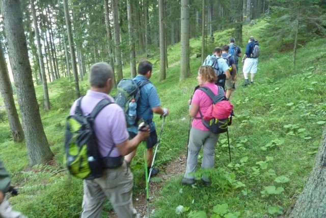 Mitten im schönsten Hochwald: Tön, Franz, There,  Walter, Peter, Fredi, Edgar