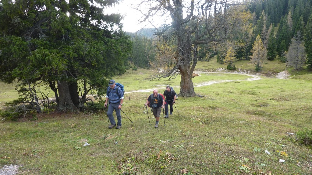 Auf dem Weg zur Sunnschien-Alm