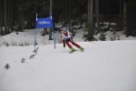 DSC_0035.jpg