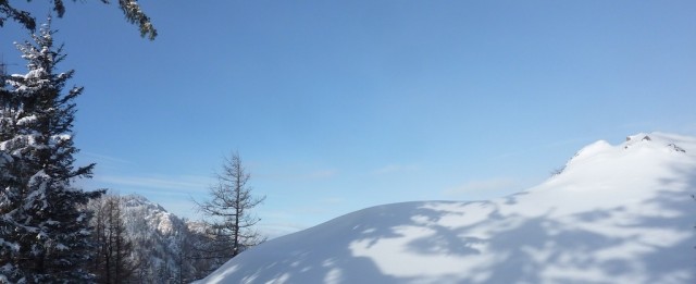 P1110326.jpg
