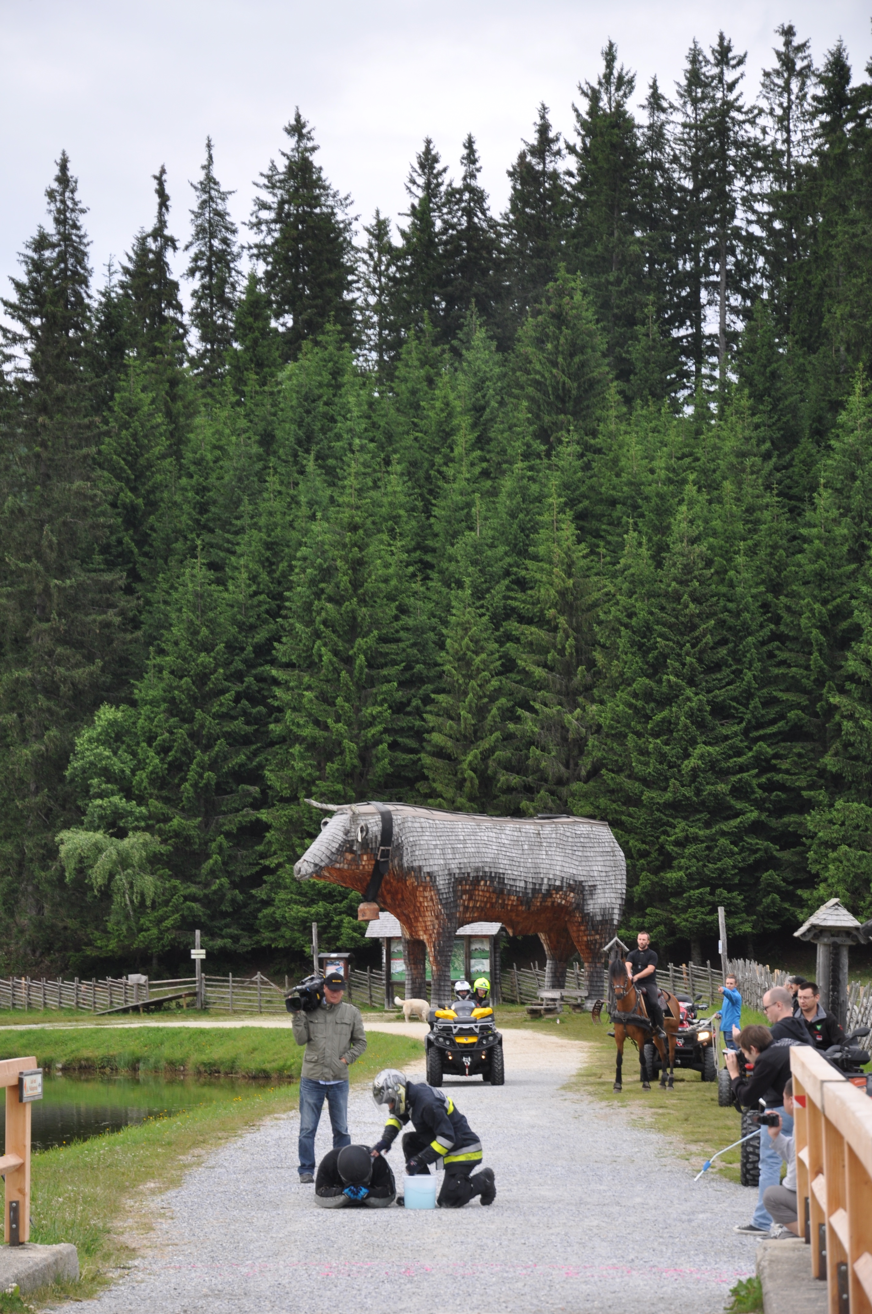 DSC_0071.jpg