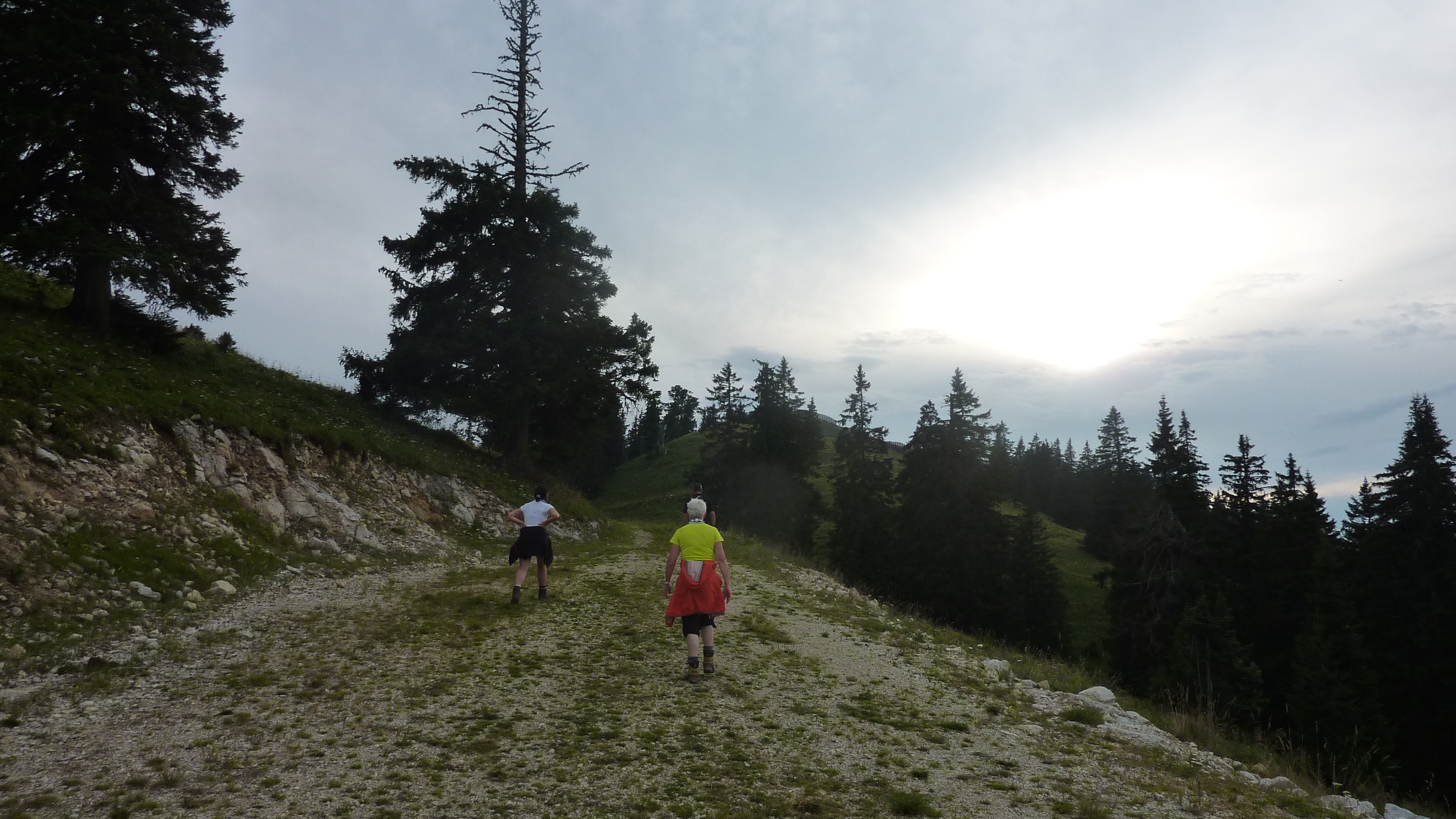 P1150243.jpg