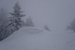 DSC01331