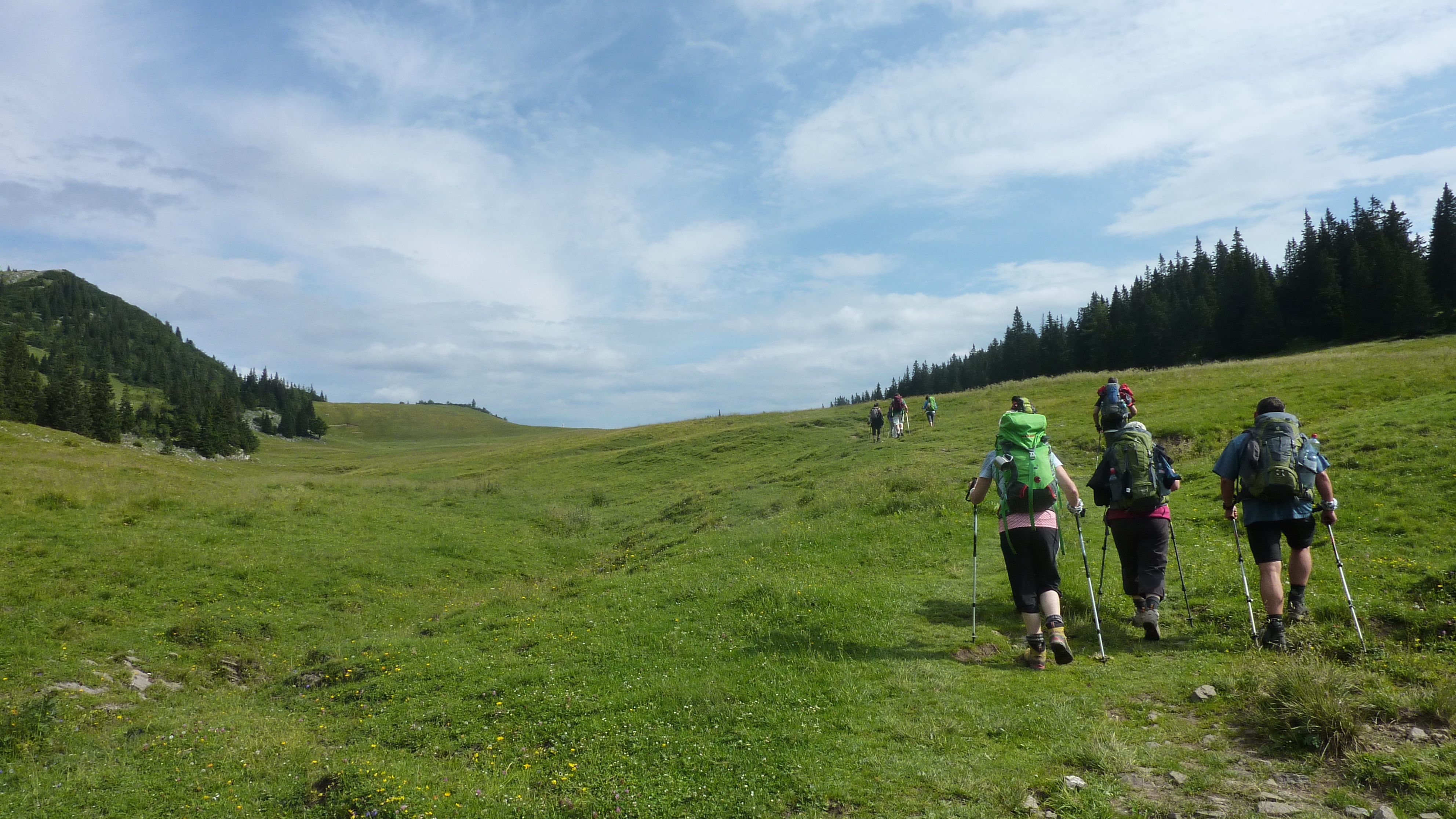 P1150316.jpg