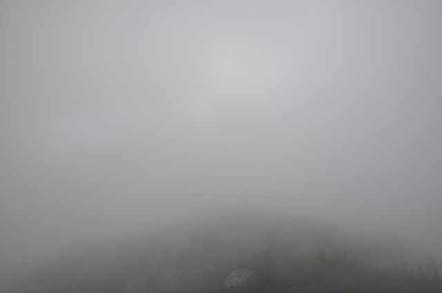 DSC_0050_01