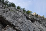 20090709_Marge_2491