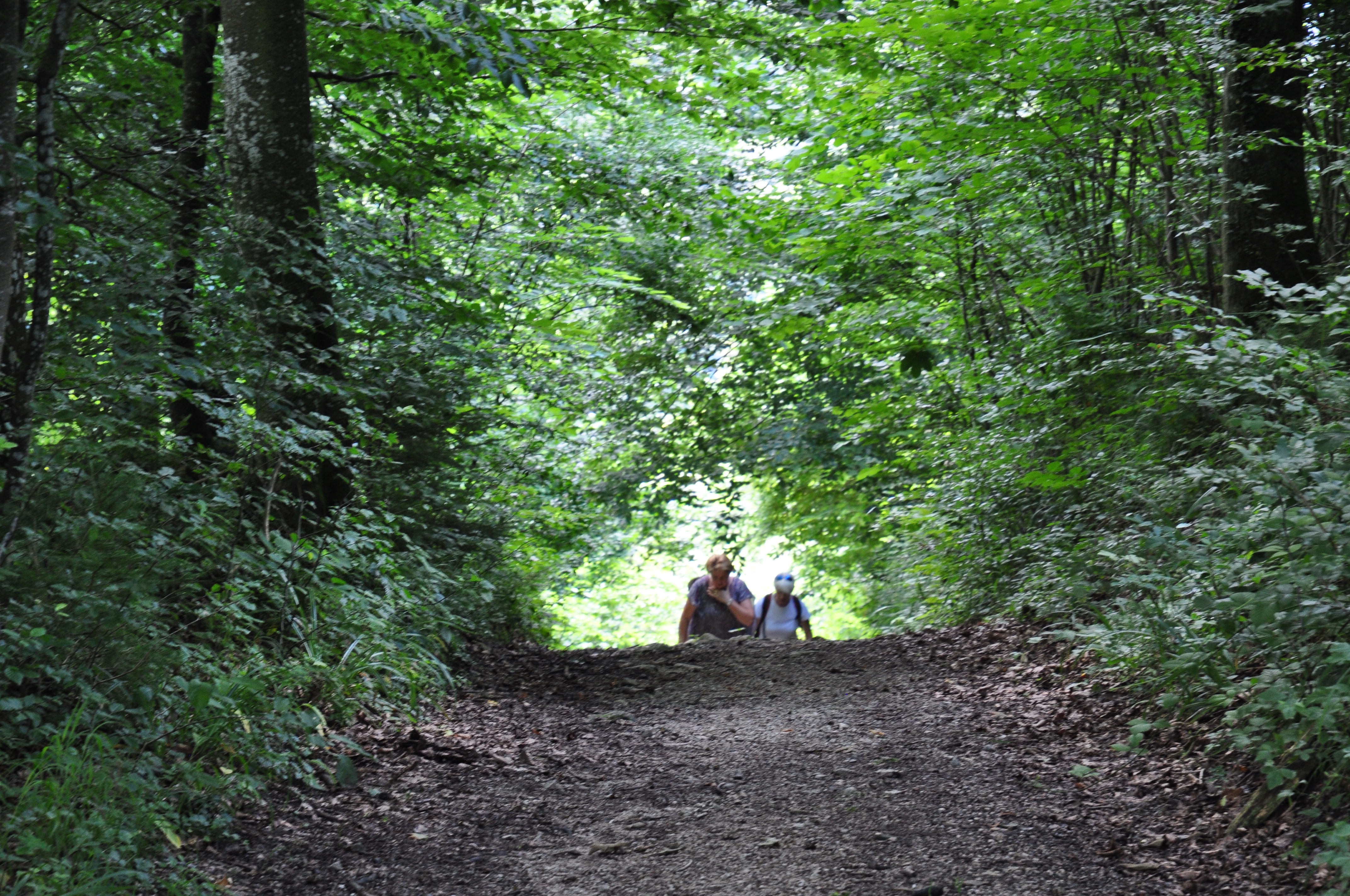 DSC_0092.jpg