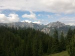 201607-Ebenstein 39.jpg