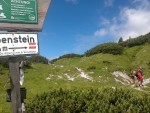 201607-Ebenstein 50.jpg