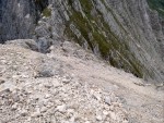 DSC01316.jpg