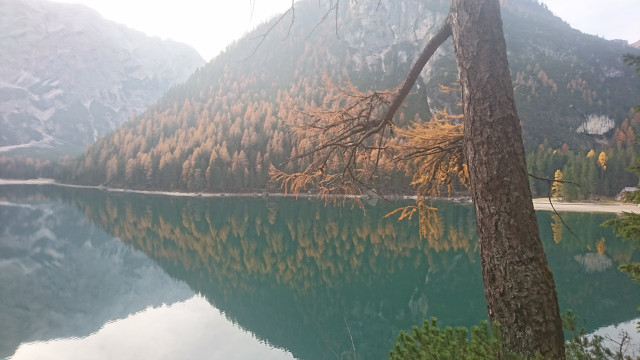 DSC_2696.JPG