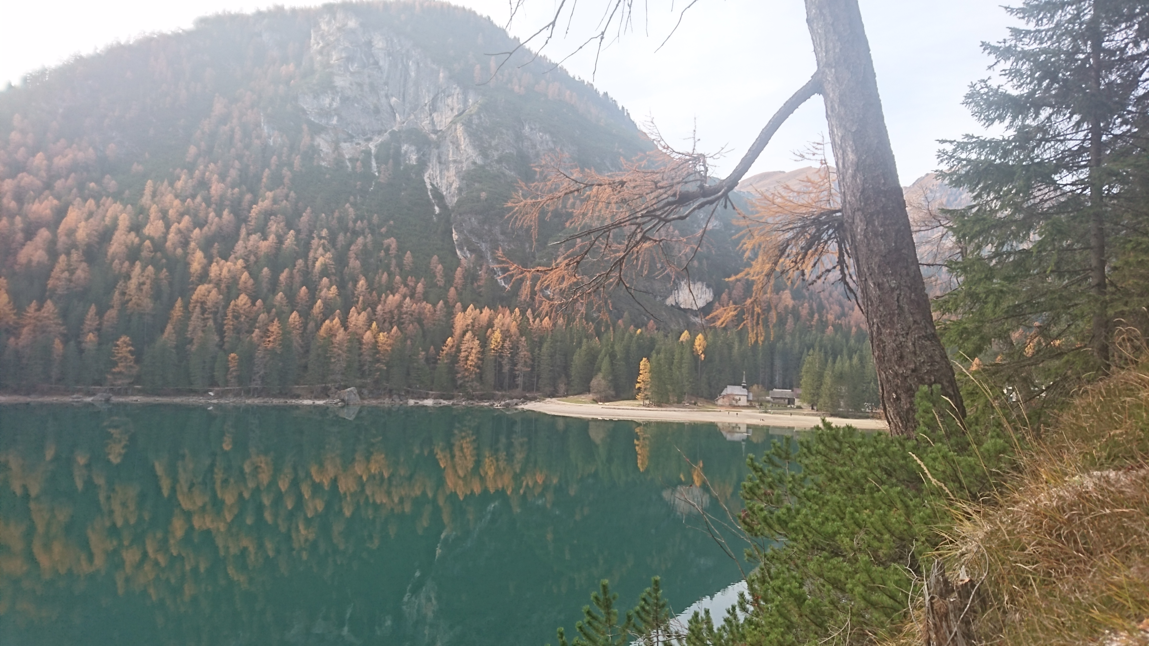 DSC_2697.JPG