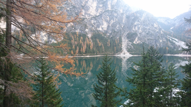 DSC_2744.JPG