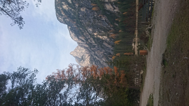 DSC_2756.JPG