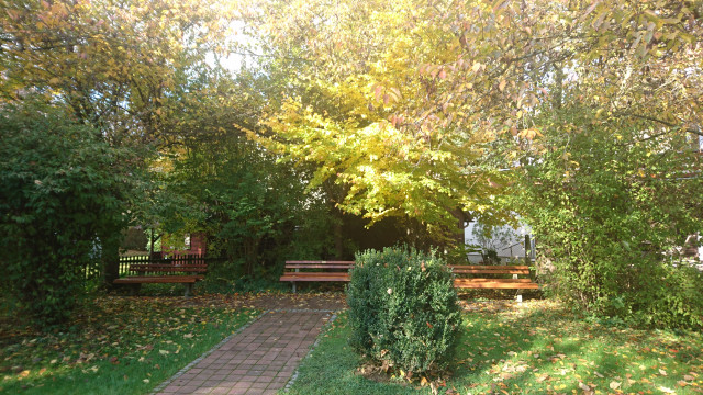 DSC_2809.JPG