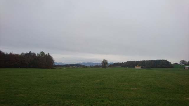 DSC_2925.JPG