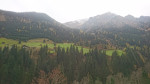DSC_2950.JPG