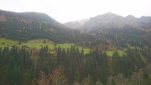 DSC_2950.JPG