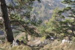 DSC_0118.JPG