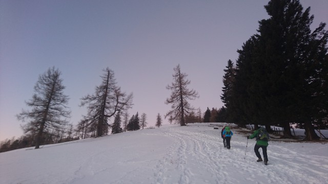 DSC_0641.JPG