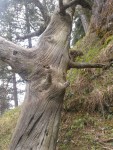 DSC00902.jpg