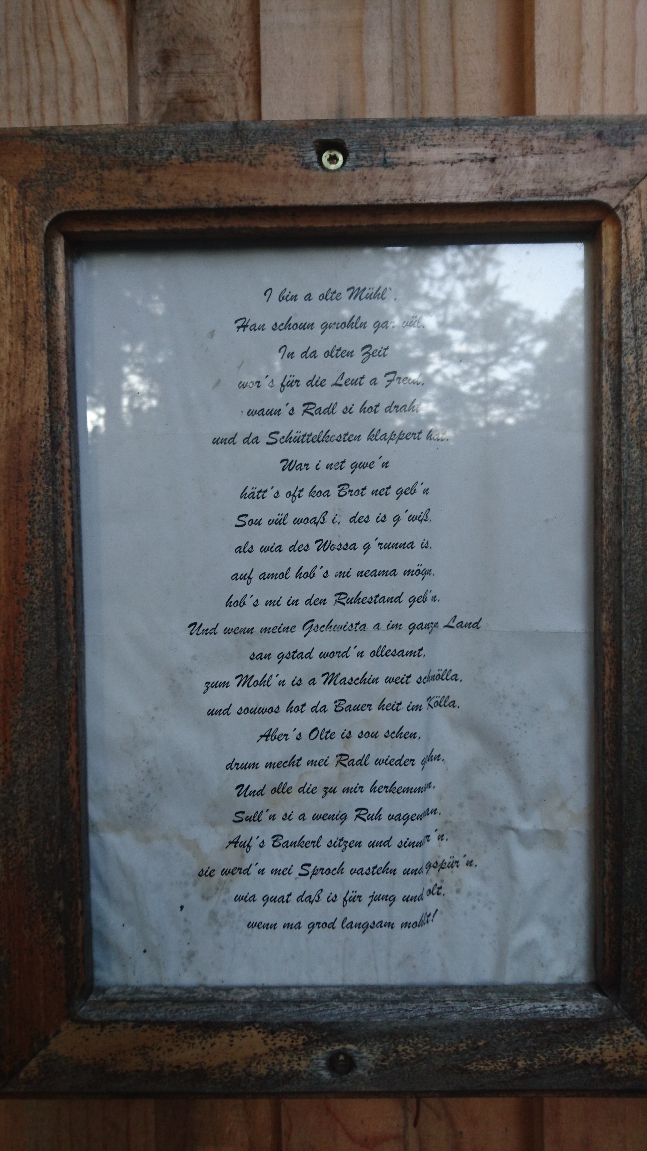 DSC_1006.jpg