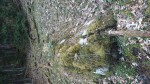 DSC_1792.JPG
