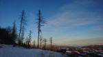DSC_0799.JPG