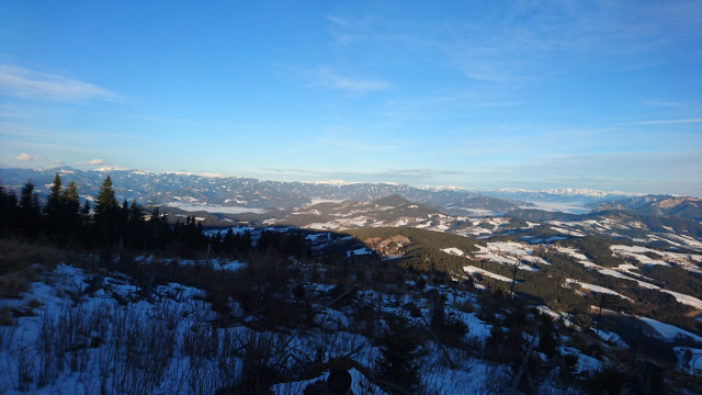 DSC_0808.JPG