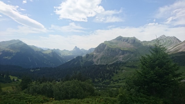 DSC_0437.jpg