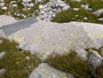 DSC01927.jpg