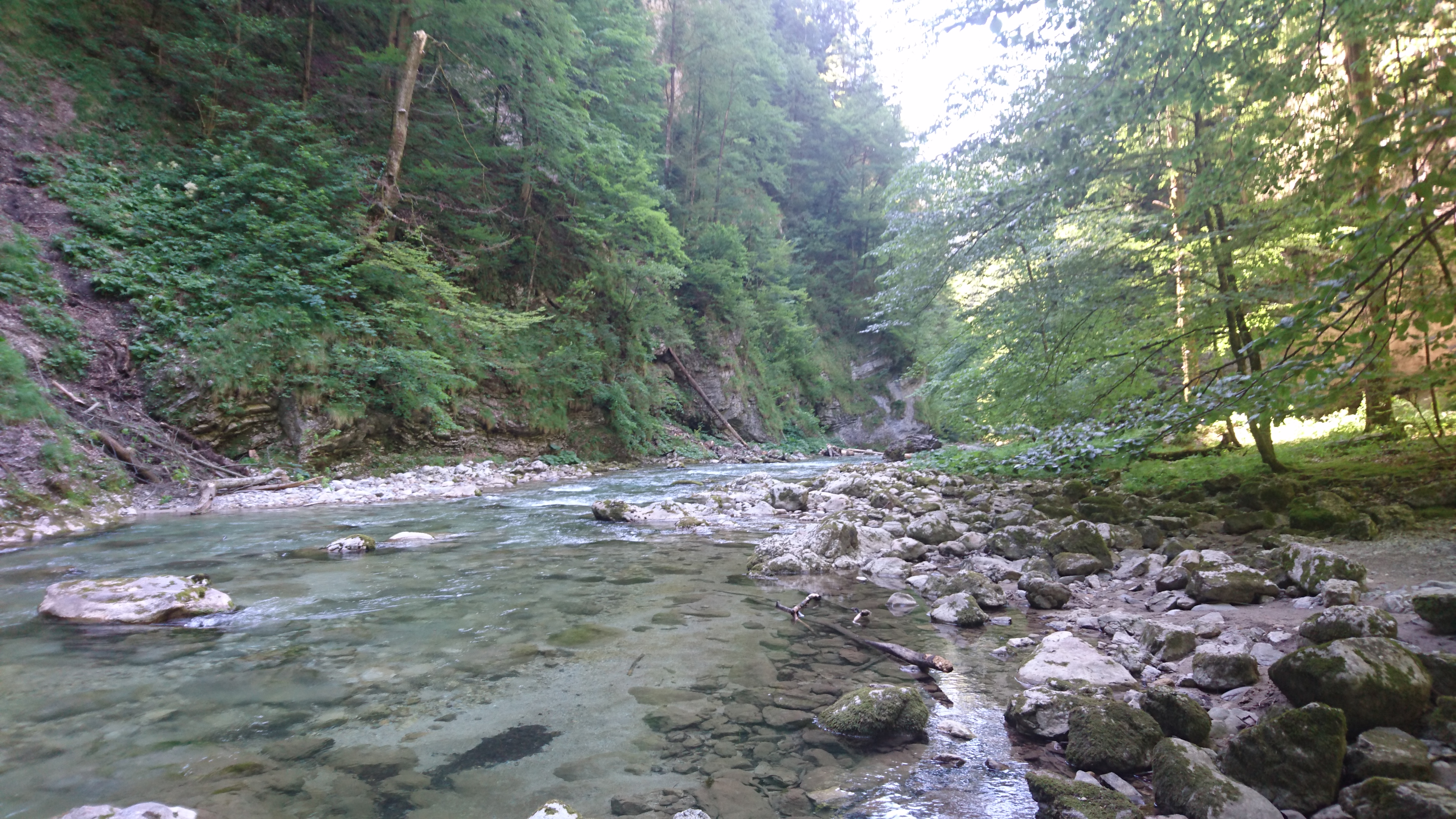 DSC_0989.JPG