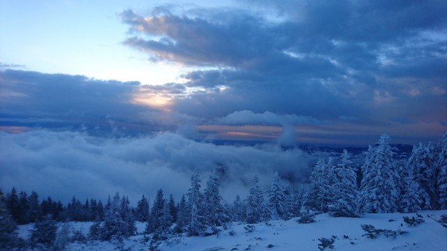 DSC_4189.jpg