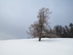 IMG_20181231_094657.jpg