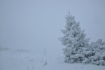DSC_0086.jpg