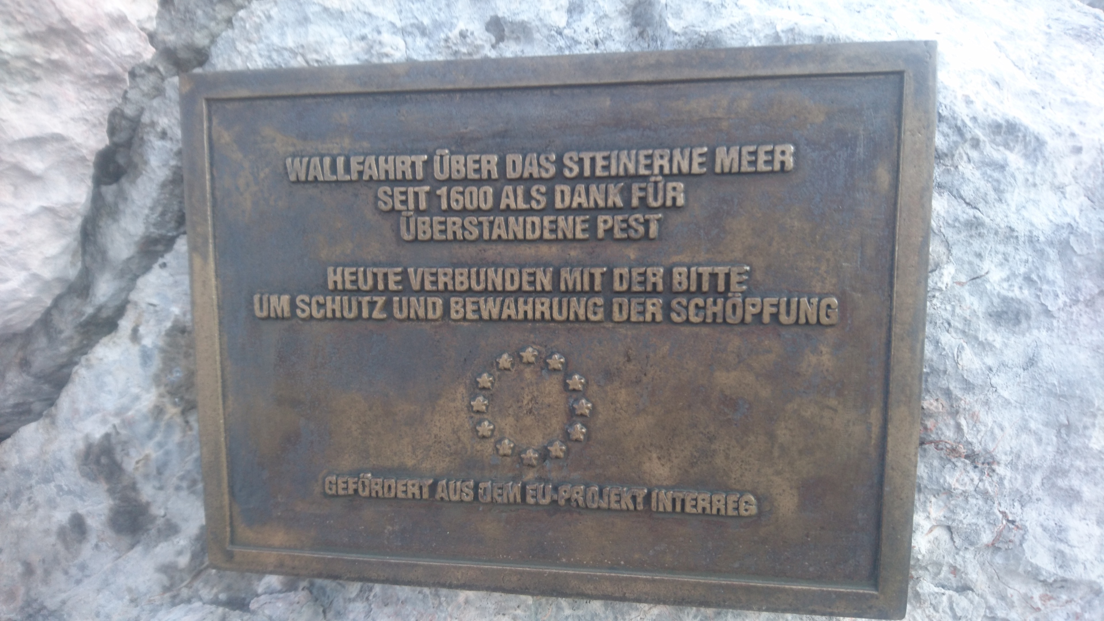 DSC_9535.jpg