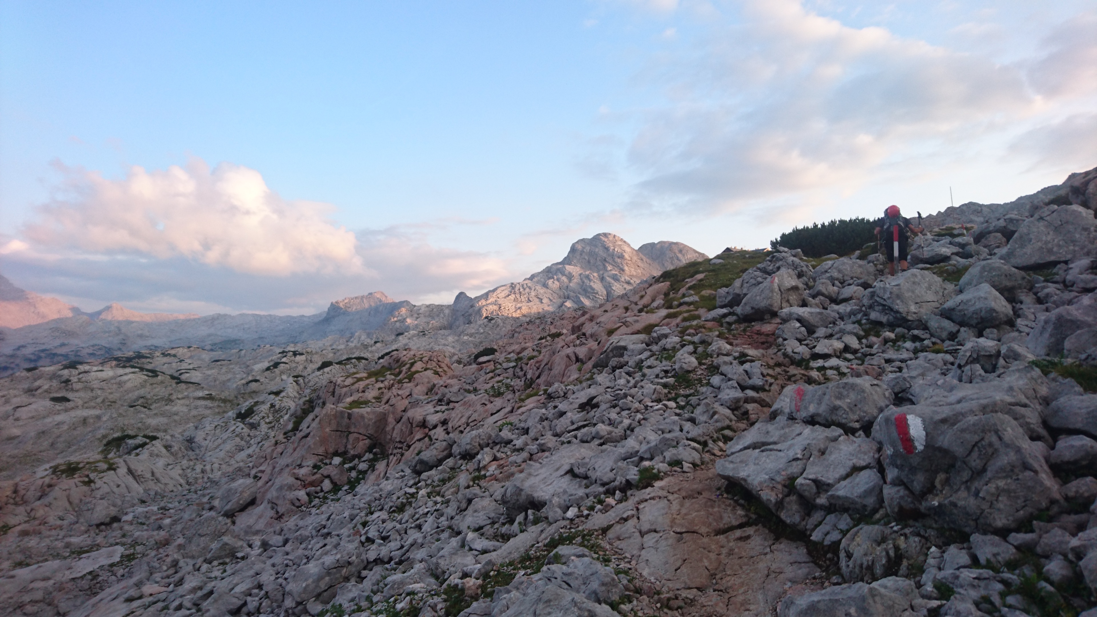 DSC_9796.jpg