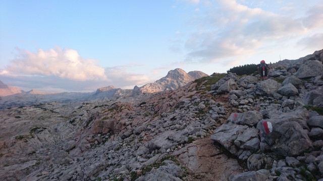 DSC_9796.jpg