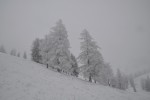 DSC_0147.jpg
