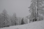 DSC_0150.jpg