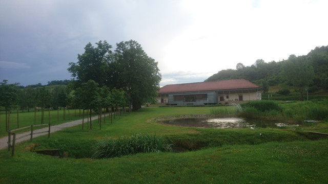 DSC_7262.jpg
