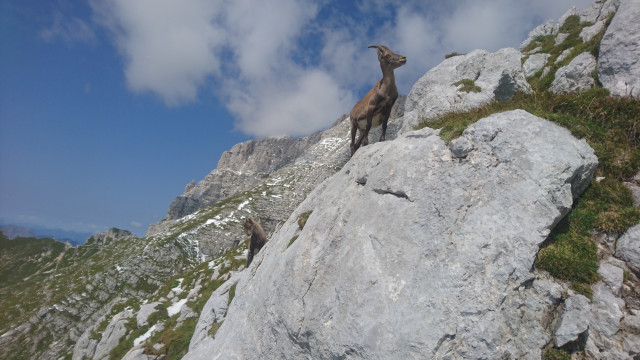 DSC_0116.JPG