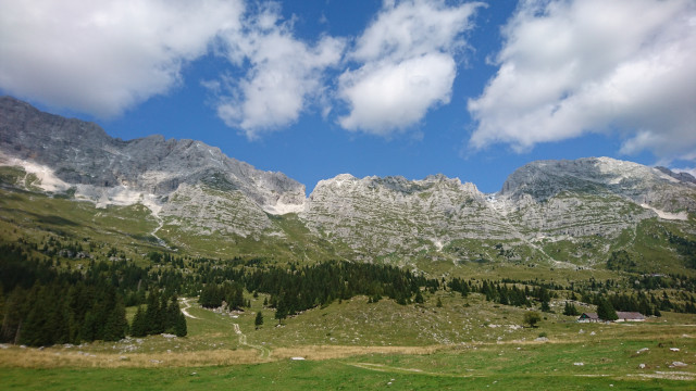 DSC_0132.jpg