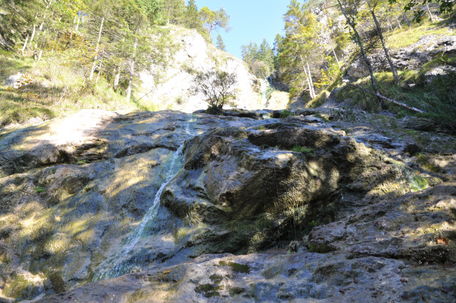 DSC_0234.JPG