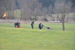 DSC_0187.JPG