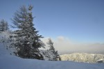 DSC_0092.jpg