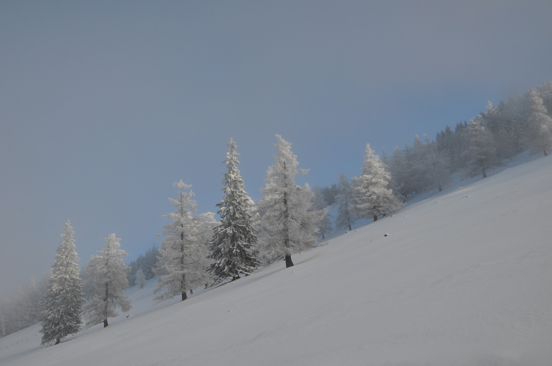 DSC_0038.JPG