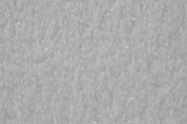 DSC_0068.JPG